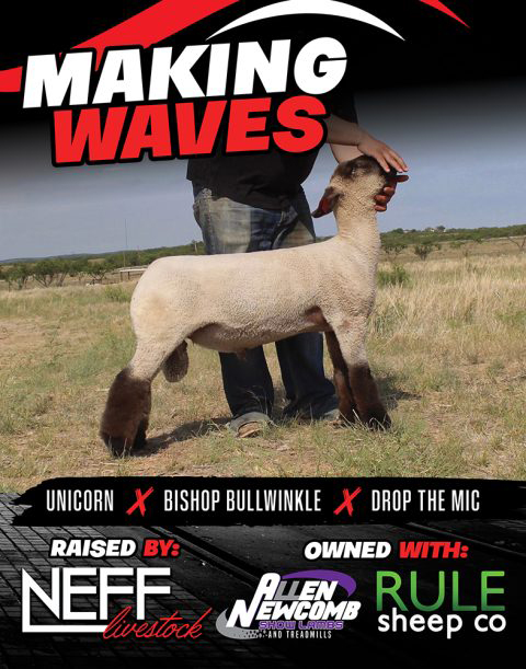 Making Waves
