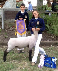 Asmus Club Lambs Winner