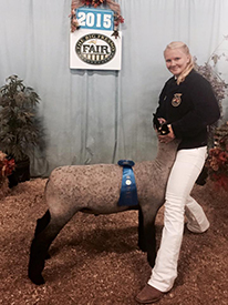 Asmus Club Lambs Winner