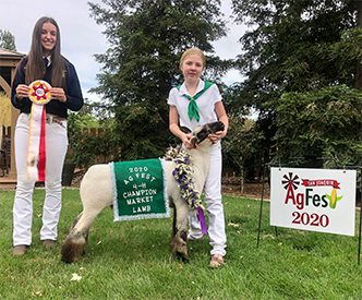 Asmus Winners