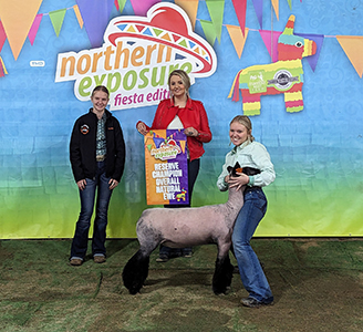 Asmu Winners
